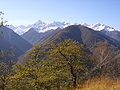 Vignette pour Réserve domaniale du mont Valier