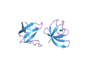 2gnc: Crystal structure of srGAP1 SH3 domain in the slit-robo signaling pathway