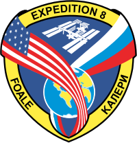 Expedition 8 insignia.svg