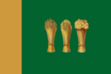 Flag of Penza