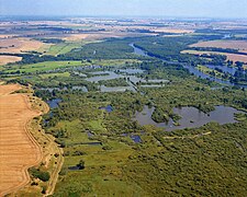 Torfstichlandschaft im Peenetal