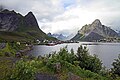 Reine