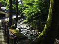 永平寺の横を流れる渓流