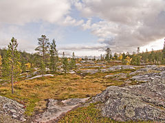 El Parc Nacional d'Øvre Dividal