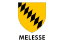 Melesse – Bandiera