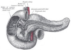 Ilustracja