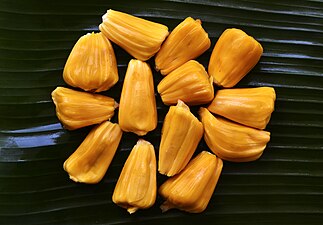 Jackfruit flesh of orange-fleshed variety