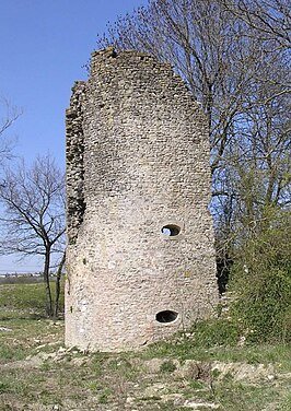 Deel van de Kasteelruïne van Créhange / Kriechingen