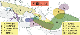 Map showing the distribution of ten species of Fritillaria in Europe and Asia