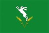 Flag of Șoldănești