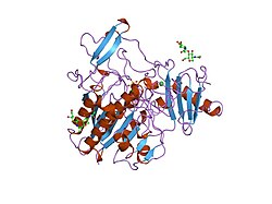 Arylsulfatase B