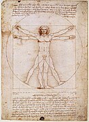 Vitruvian