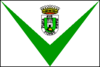 Bandeira de Vilalva