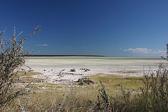 Saltslätt, Namibia