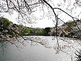 神奈川県立三ツ池公園（神奈川県横浜市）