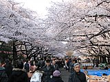 上野恩賜公園（東京都台東区）