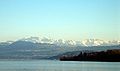 Die Glarner Alpen vom Zürichsee aus gesehen. Im Vordergrund die Halbinsel Au