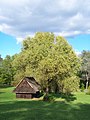 Building in Upper Silesian Ethnographic Park