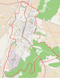 Mapa konturowa Kwidzyna, po lewej nieco u góry znajduje się punkt z opisem „Stara Synagoga w Kwidzynie”