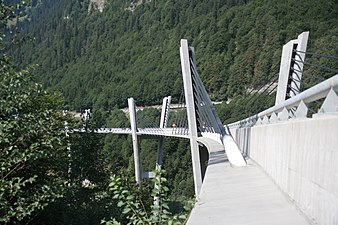 From south abutment looking north: pylons P2, P3, and P4 (right)