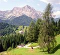 le Monte Bìvera près de Sauris