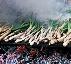 Calçot, en katalansk variant av salladslök, på grillen.