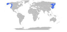 mapa rozšíření (modře)