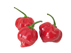 Red habaneros