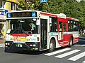 Gタイプ（西工B-I/96MC） KL-UA452KAN改 関東バス