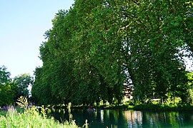 Promenade Saint-Martin.