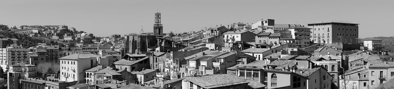 Panoràmica de Cardona vista des del castell.