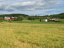 Finstad-gårdarna.