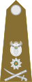 Brigadier general (South African Army)[46]