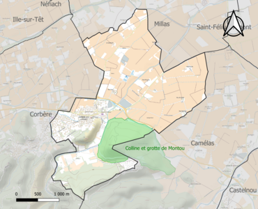 Carte de la ZNIEFF de type 1 sur la commune.