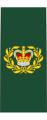 Canadian Army