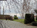 Birkenhof Garten