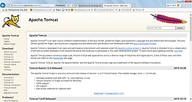 Скриншот программы Apache Tomcat