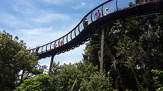 Boomslang, Pasarelă cu baldachin, Arboretum