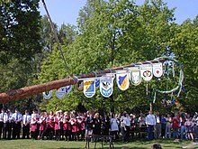 Maibaum-Aufstellen in der Gemeinde Wesendorf