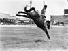 Beryl Riley riding a buckjumper at the Sydney Show, 1944