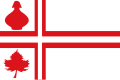 Vlag van Diever