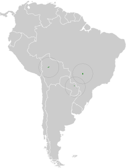 Distribución geográfica del chotacabras aliblanco.