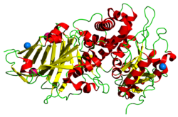 Exotoxin A (Pseudomonas aeruginosa)