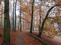 Park Oruński jesienią.