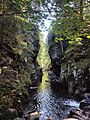 Haslach-Schlucht mit Rechenfelsen