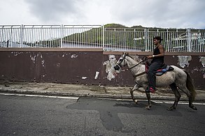 A resident on a horse after the hurricane