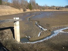 Mönch in einem abgelassenen Teich