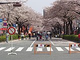 日立市かみね公園・平和通り（茨城県日立市）