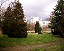 Cemetery "Pankow VII"