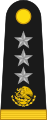 General de división (Mexican Army)[22]